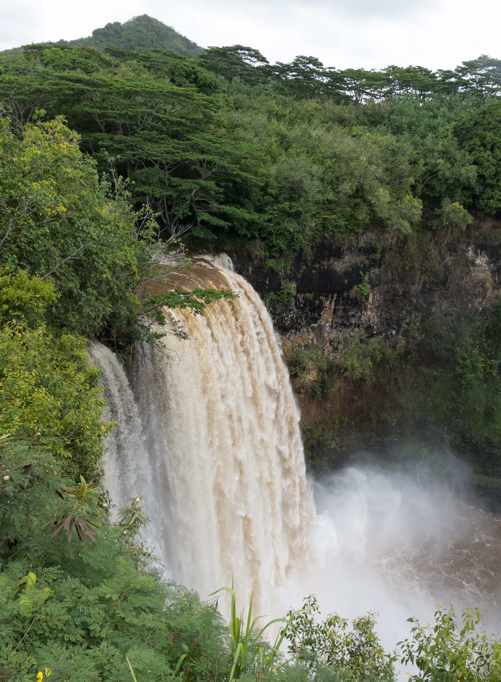 Hawaii2013-028