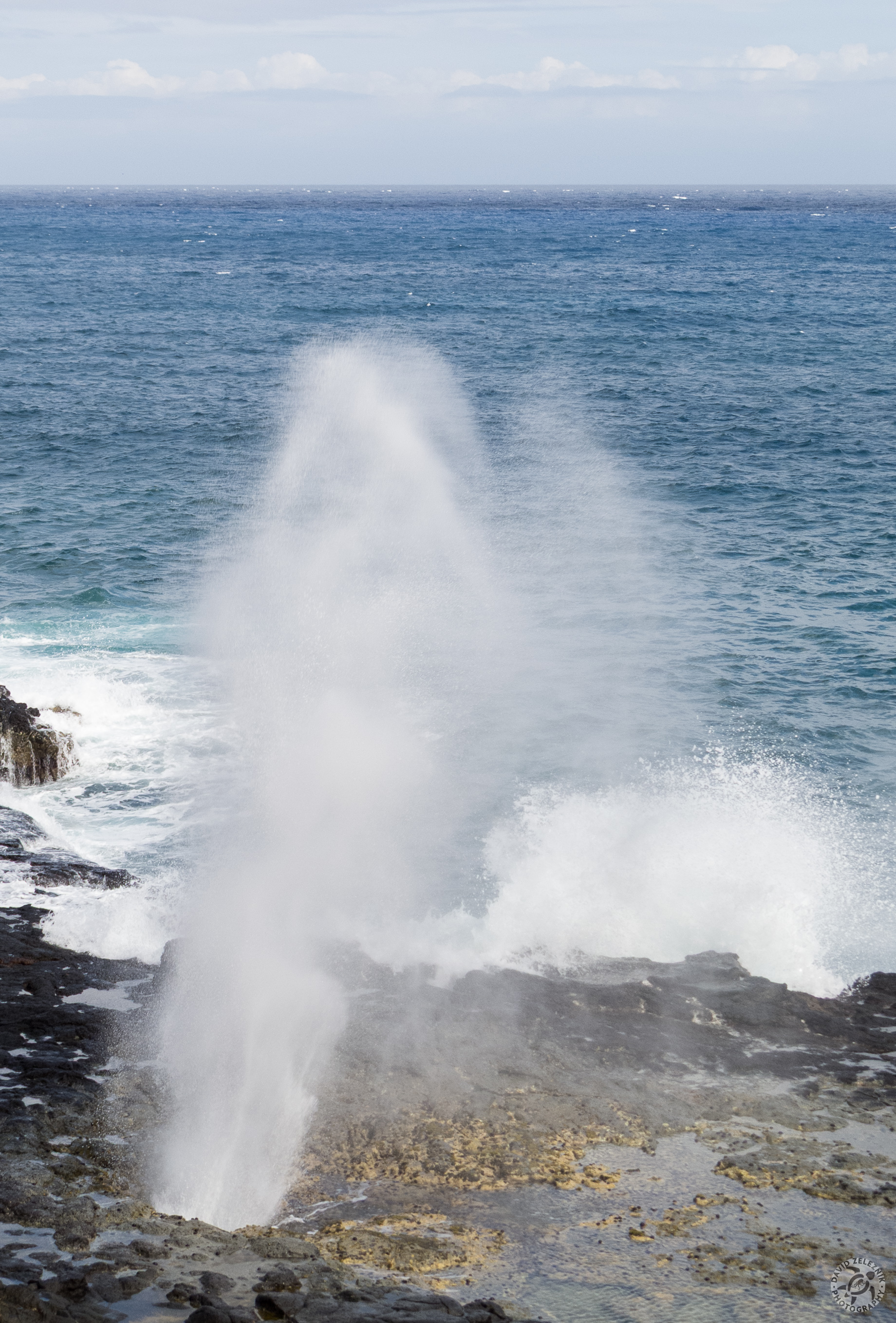 Hawaii2013-036