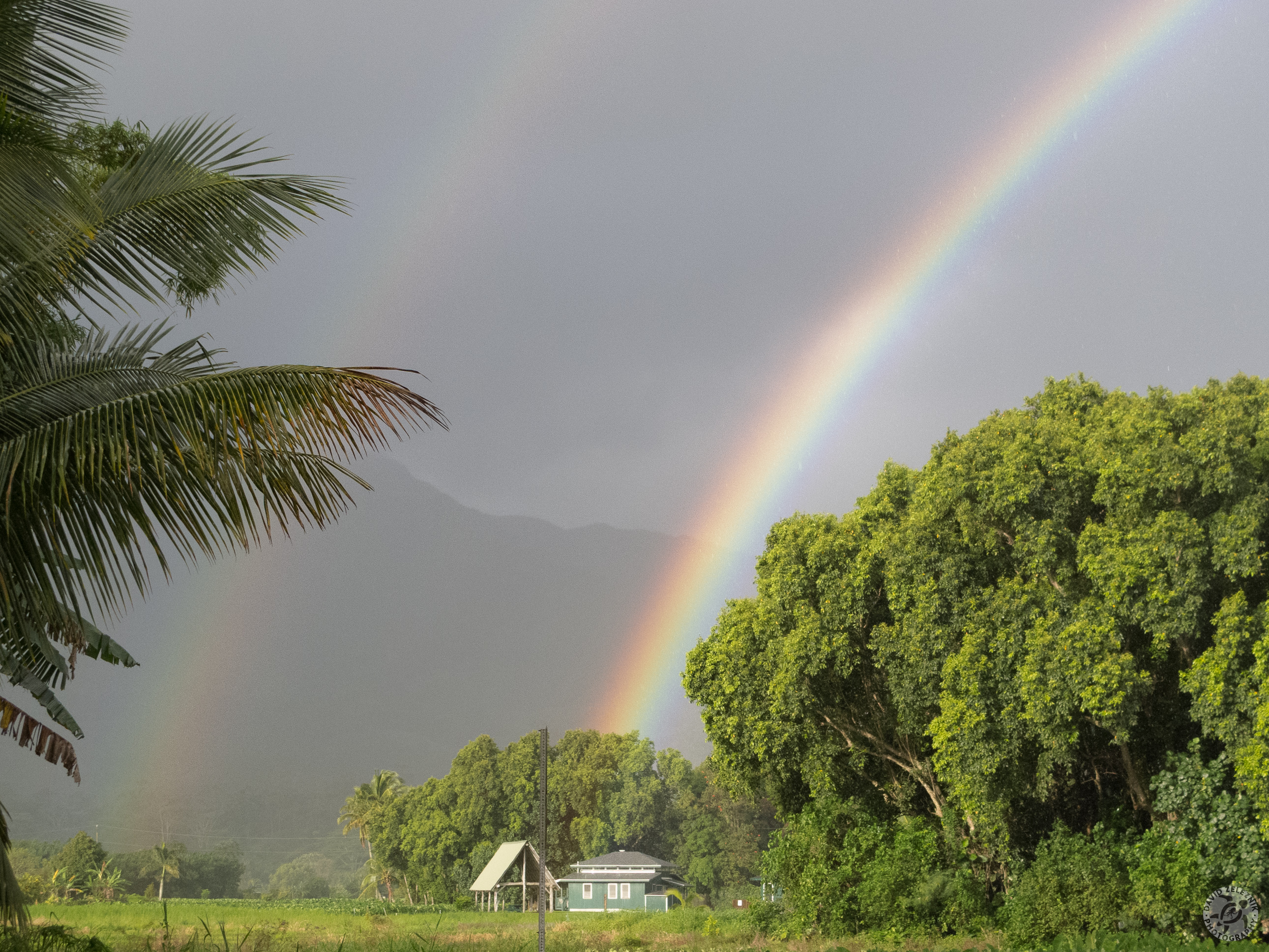 Hawaii2013-048