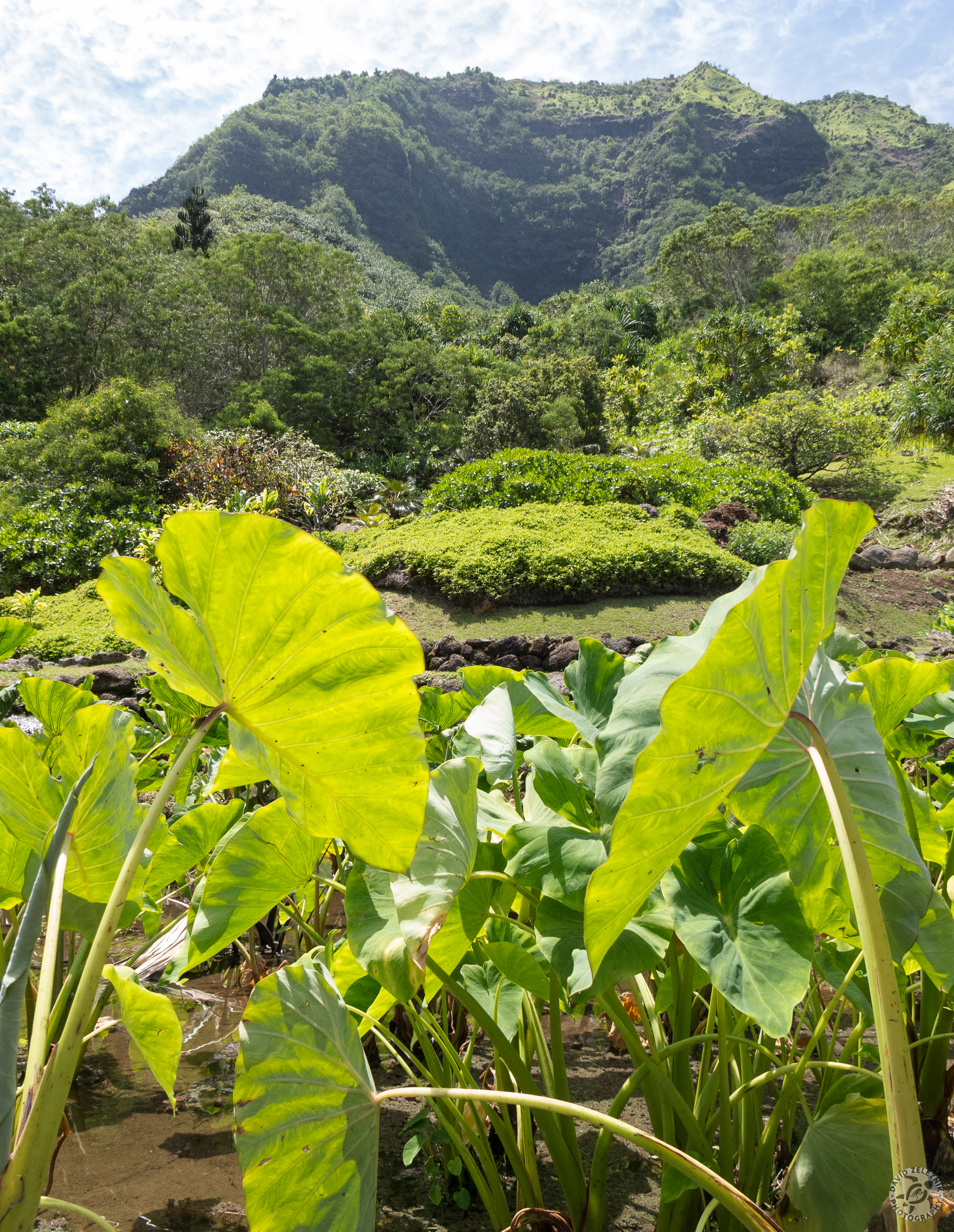 Hawaii2013-325