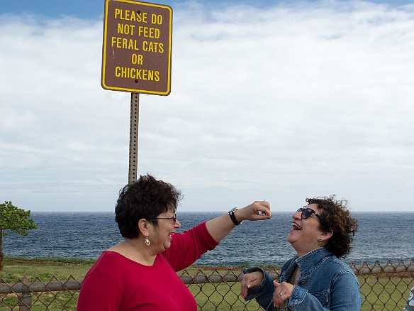Sisters take care of each other, despite the warning signs May 13, 2013 4:05 PM : Maxine Klein, Rhona Berzon