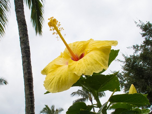 May 19, 2013 12:18 PM : Kauai