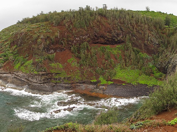 The area surrounding the lighthouse is a nesting area for endemic species and is a refuge managed by the National Fish and Wildlife Service May 19, 2013 1:59 PM