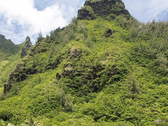 The taro terraces in Limahuli Valley May 24, 2013 12:07 PM