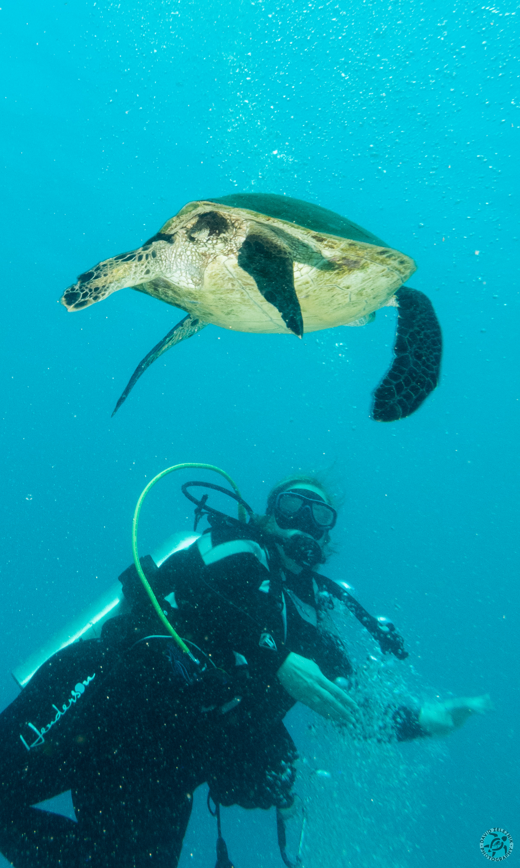 KauaiDiving2014-044