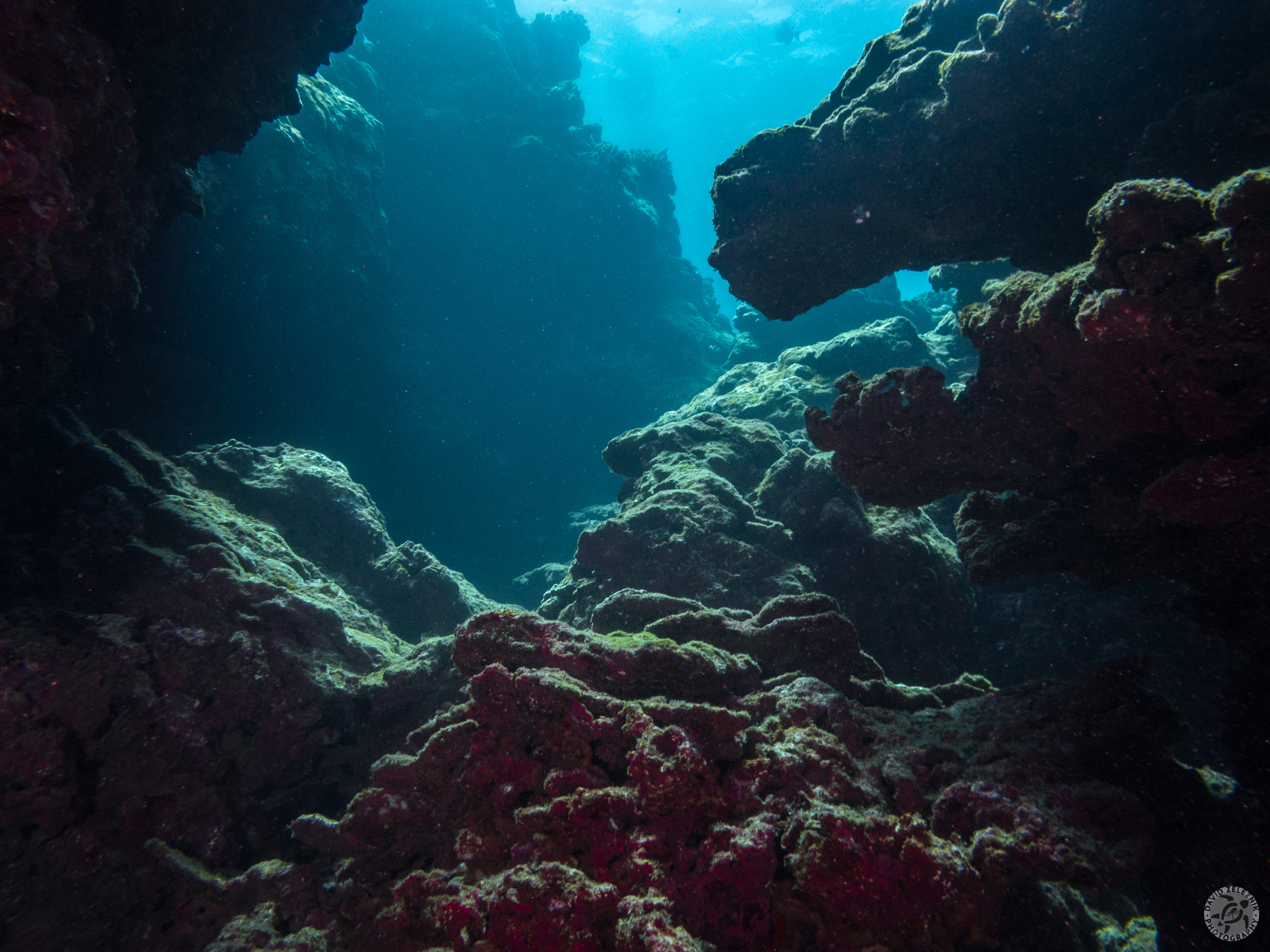Tunnels Reef Topography<br/><small>Kauai</small>