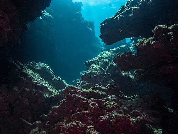 The underwater topography at Tunnels May 21, 2014 11:02 AM : Diving, Kauai