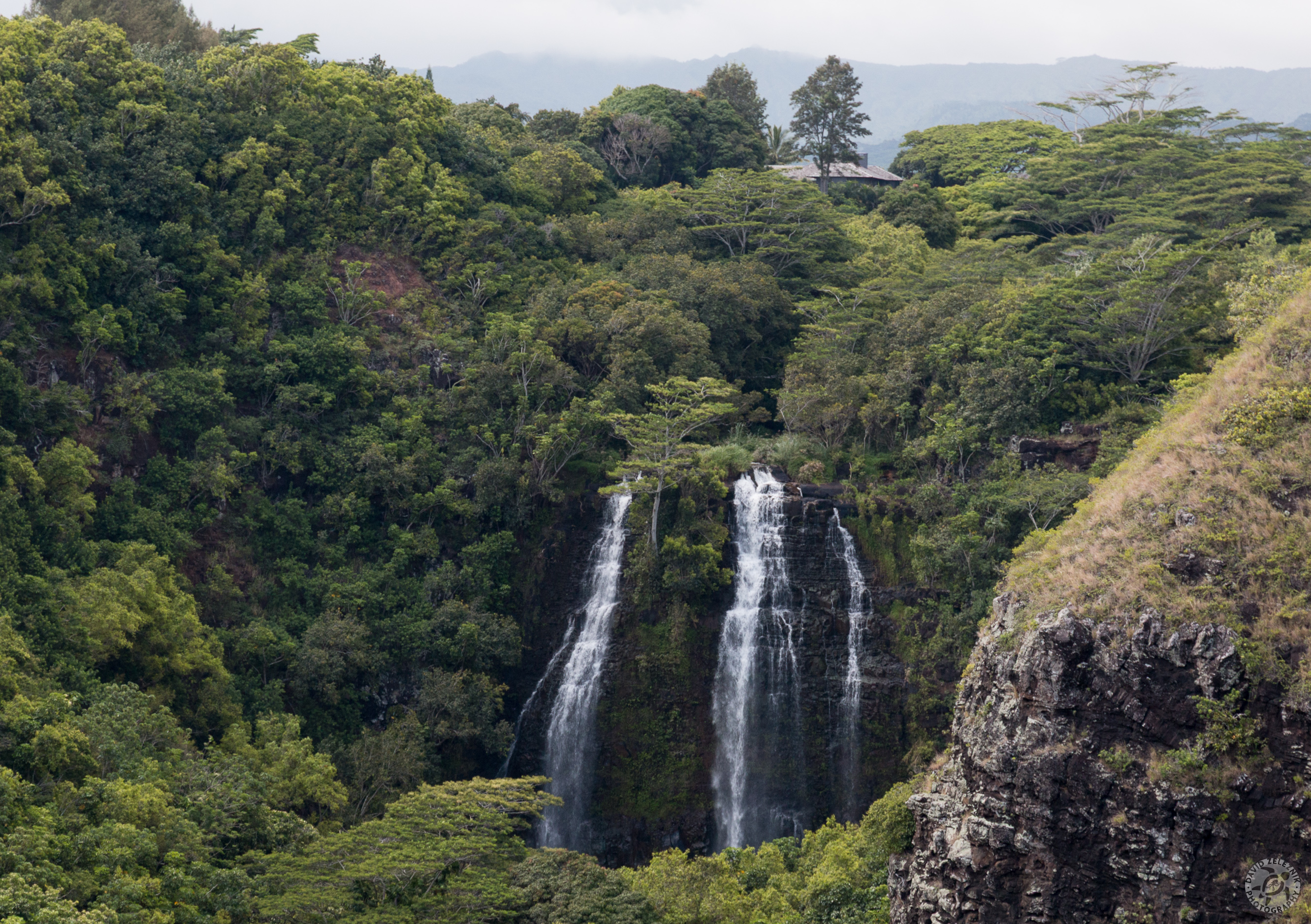 Kauai2014-056