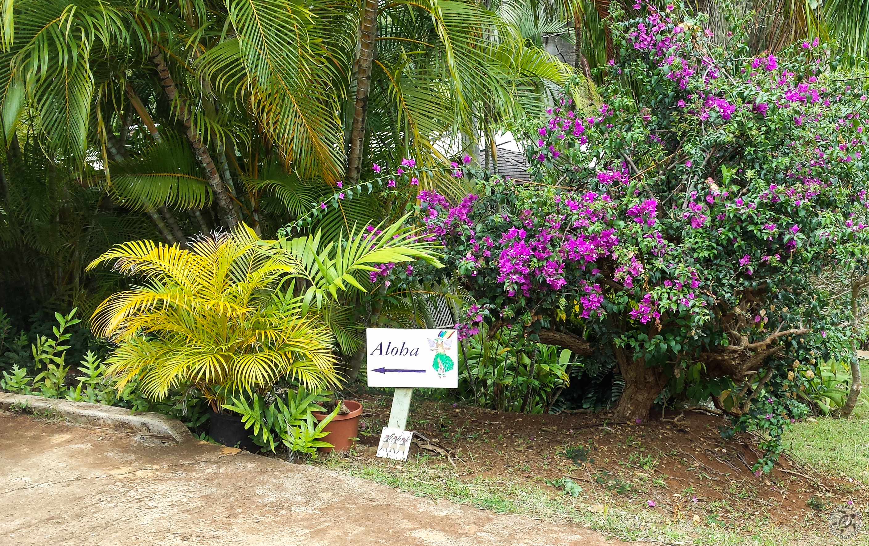 Kauai2015-021