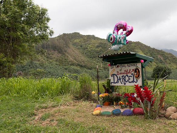 Roadside memorial, Hawaiian style, across the road from Lumahai Beach May 10, 2015 5:20 PM