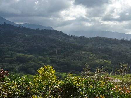 Monday afternoon it cleared up, so I drove up the Kapaka St. towards the Powerline Trailhead to find more panoramic photo opportunities. I got this shot of Hanalei Valley and wildlife refuge from a clearing off the side of the road. May 18, 2015 4:13 PM
