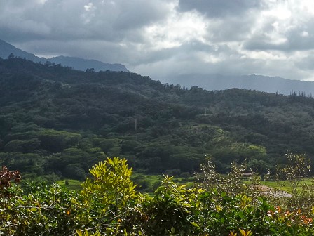 Monday afternoon it cleared up, so I drove up the Kapaka St. towards the Powerline Trailhead to find more panoramic photo opportunities. I got this shot of Hanalei Valley and wildlife refuge from a clearing off the side of the road. May 18, 2015 4:13 PM : Kauai : Debra Zeleznik,David Zeleznik,Jawea Mockabee,Maxine Klein,Mary Wilkowski