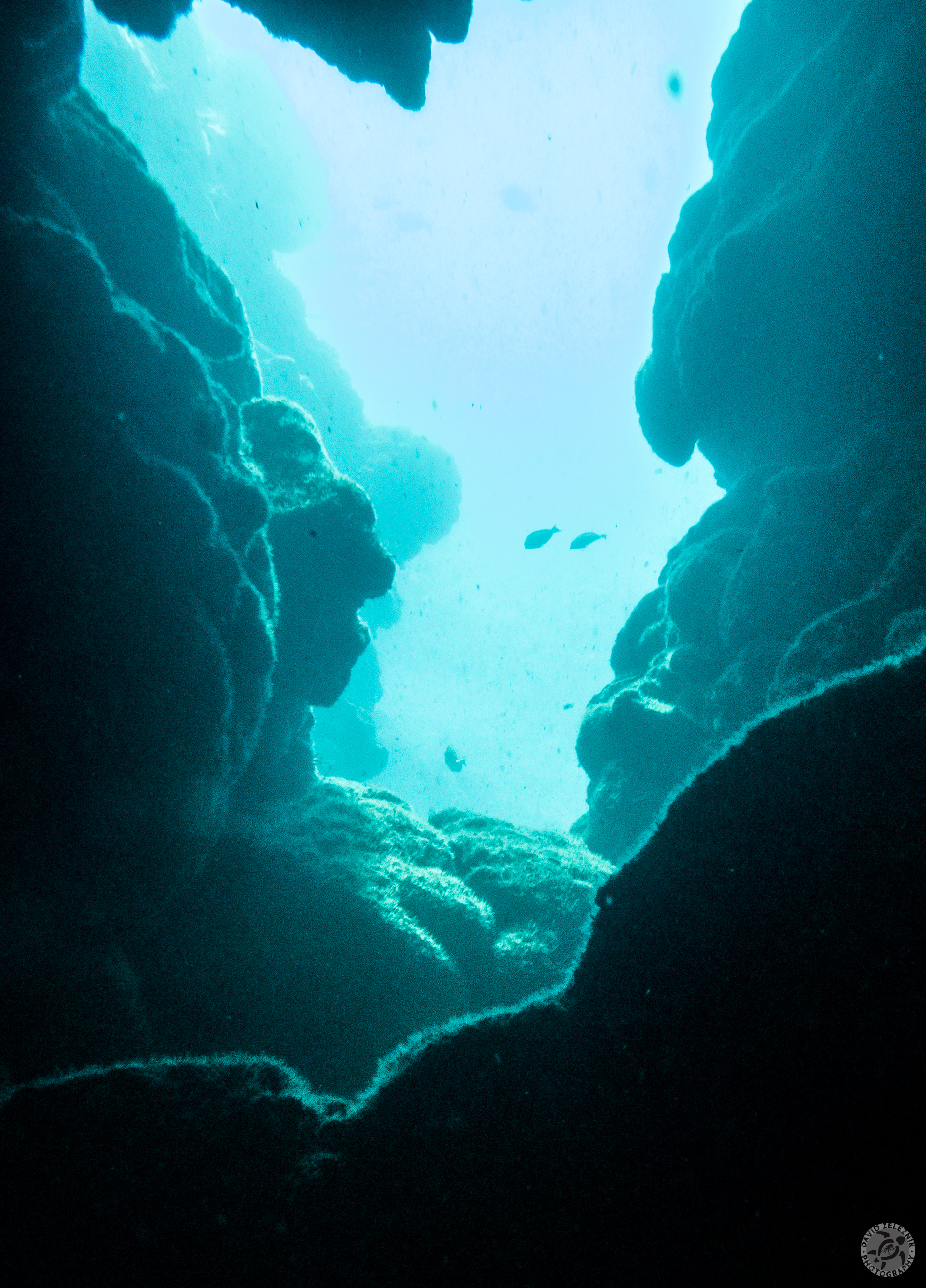 KauaiDiving2016-024