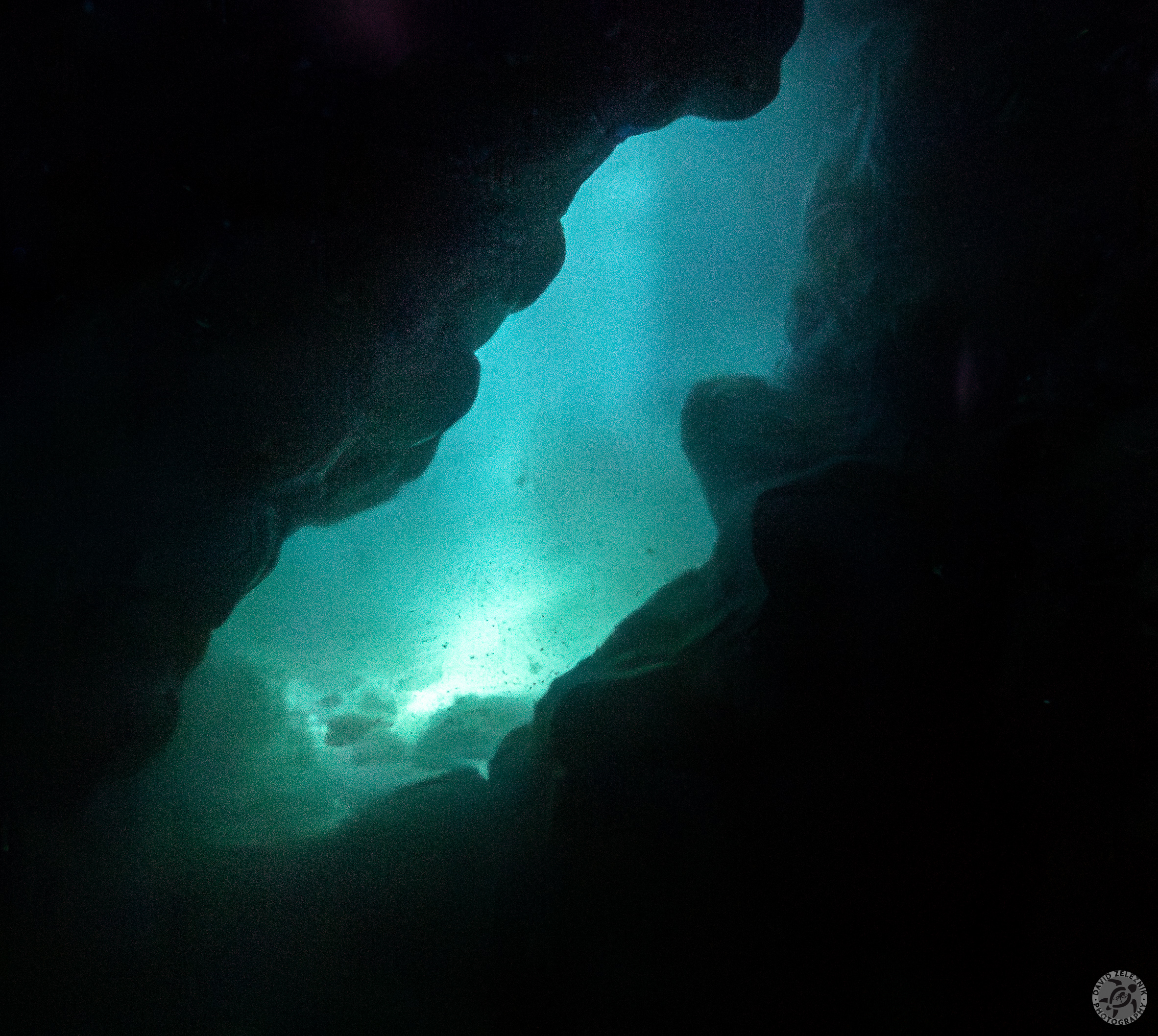 KauaiDiving2016-027-Enhanced-NR