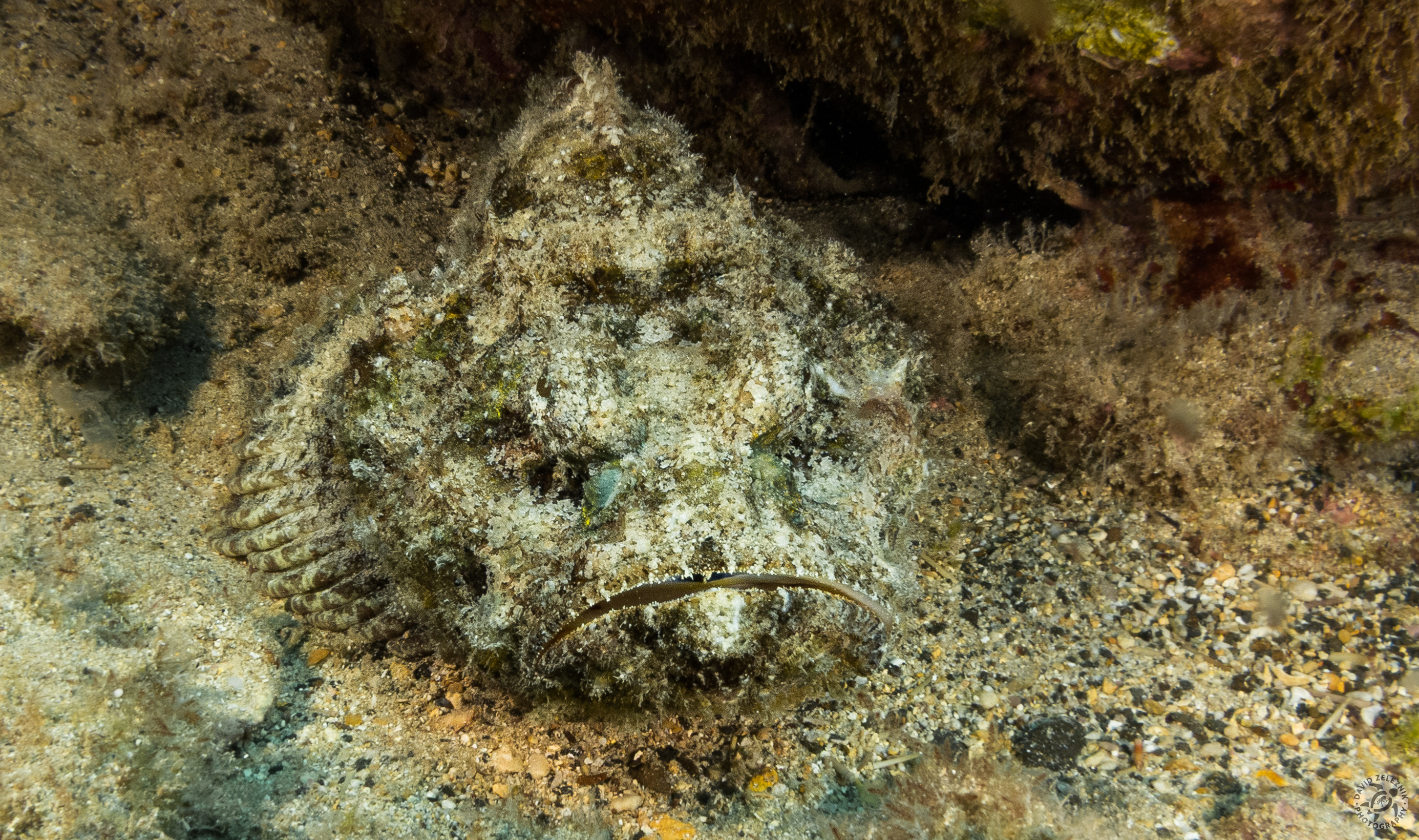KauaiDiving2016-190