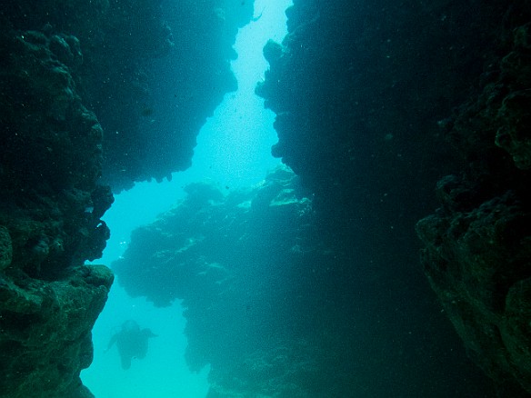 Cavern swimthrough at Tunnels May 16, 2016 11:51 AM : Diving : Debra Zeleznik,Reivan Zeleznik