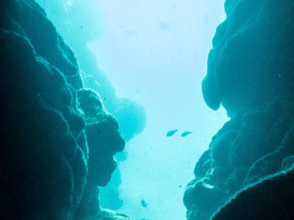 Tunnels topography May 16, 2016 12:17 PM : Diving : Debra Zeleznik,Reivan Zeleznik