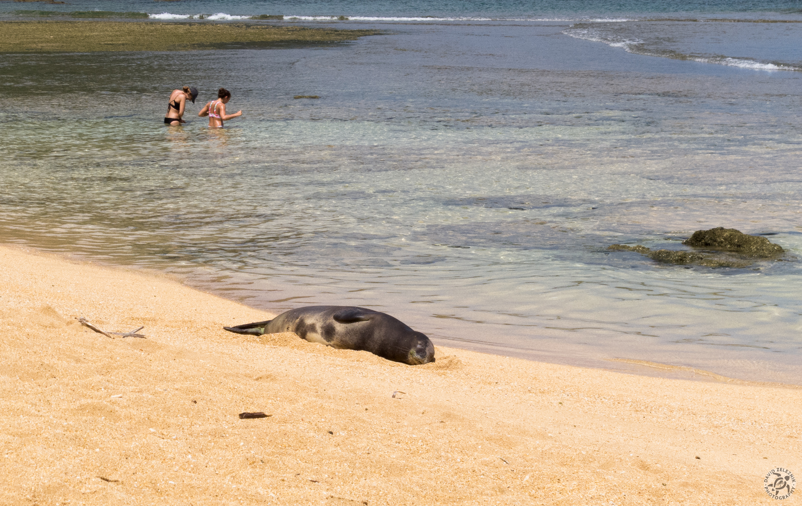 KauaiDiving2017-001