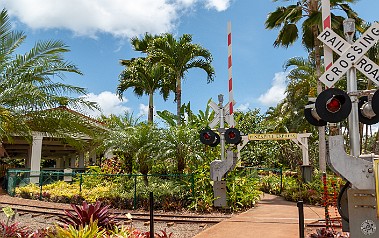 Hawaii2018-005 Billy was having railroad flashbacks as we boarded the Pineapple Express. He was going to ask if it was named after the same strain that the movie was, but I...
