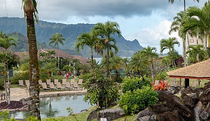 Kauai 2019-003 Lookin' out our back door,can't get enough of this while sipping coffee on the lanai