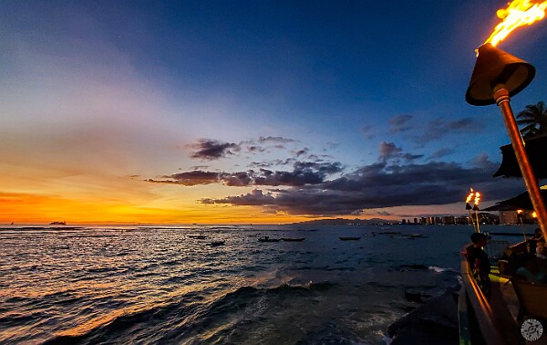 JFK and Oahu Our trip started by overnighting at the totally retro TWA Hotel at JFK and then 4 days in Honolulu at The Prince on...