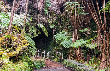 HiloVolcano-031 The entrance to the lava tube