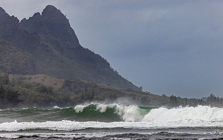 Kauai-085 Even 3 days later as the northwest swell was starting to subside, the surf was still dangerous rolling into Hanalei Bay 🌊🌊