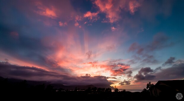 Kauai Winter is rainy season in Hawaii and the North Shore of Kauai is one of the rainiest spots in the islands, but this...