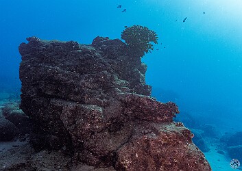 StoneHouse20250128-002 First dive of the trip and the conditions were pristine. Topography at Stone House dive site.