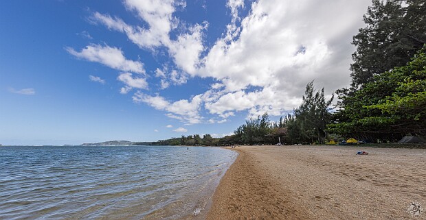 Kauai It was an extraordinarily dry winter during our five weeks on Kauai and we were battered by severe weather for only a...