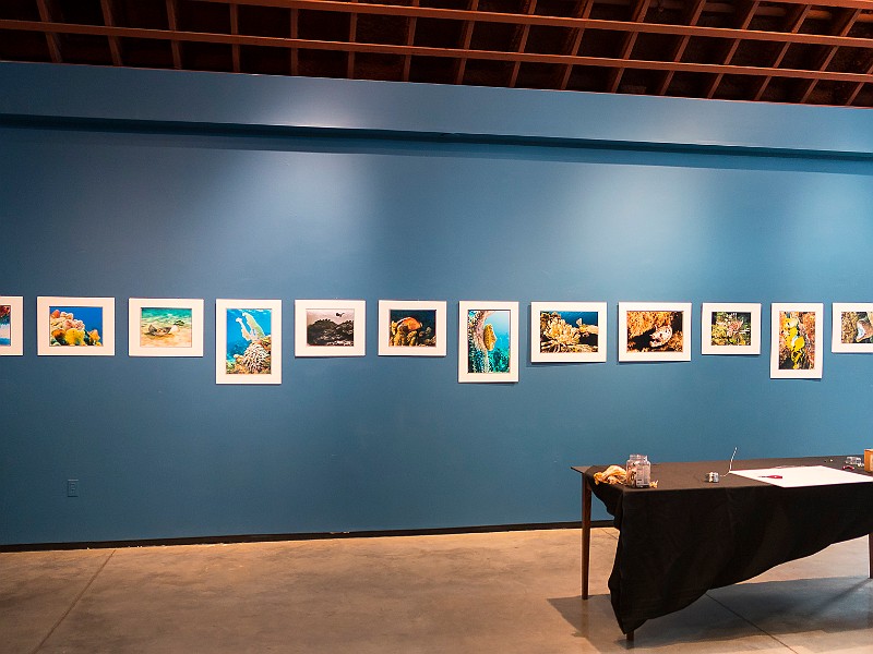ImagesSousMarinesInstallation-006 The