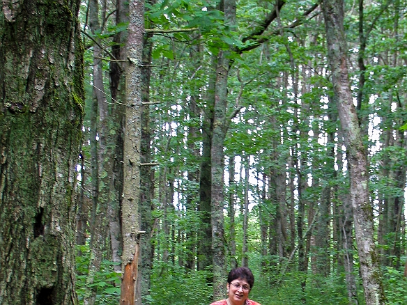 A path leads through the preserve, winding through woods and to several lookouts over the salt marshes. Jul 4, 2009 11:35 AM : Josie, Maine, Maxine Klein