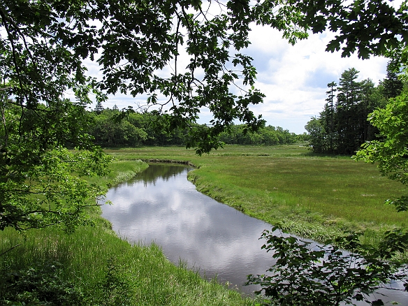 Jul 4, 2009 11:39 AM : Maine