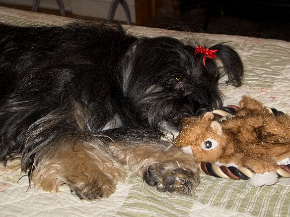 Jul 2, 2011 10:28 PM : Hound's Tooth Inn, Josie, Maine 2011