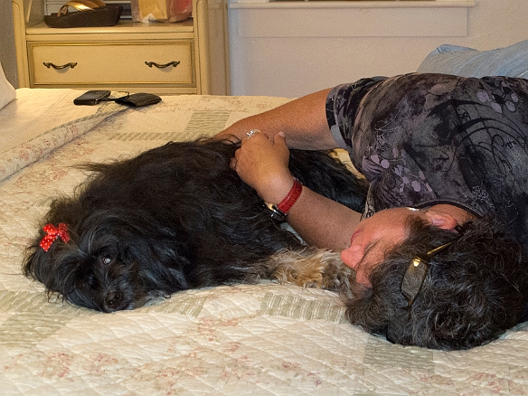 Josie and Deb are tuckered out, time for everyone to take a mandatory nap Jul 3, 2011 9:19 PM : Debra Zeleznik, Hound's Tooth Inn, Josie, Maine 2011