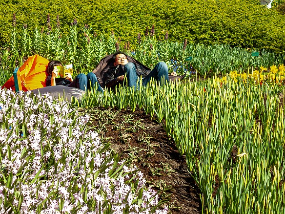 Keukenhof-025 More bean bag rest areas in the middle of the flower beds