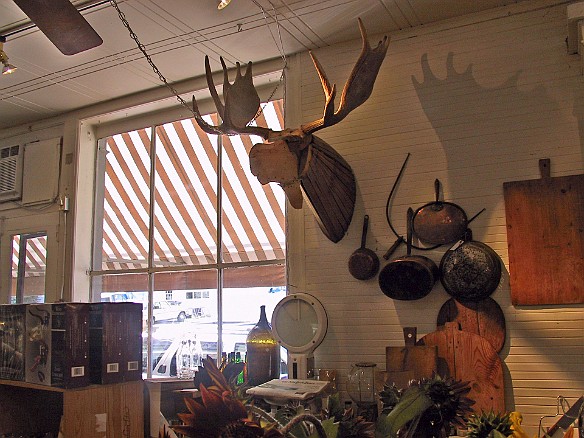 Inside Treats, the moose keeps watch Sep 5, 2004 1:55 PM : Maine