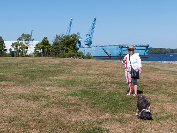 So, we made up to the South End Dog Park in Bath, Maine that I had found online. Yep, located just south of the Bath Ironworks on the Kennebec River. Technically, dogs are allowed off-leash, but we kept Sophie on the 30ft training lead just to play it safe. Sep 6, 2015 2:07 PM : Maxine Klein, Sophie