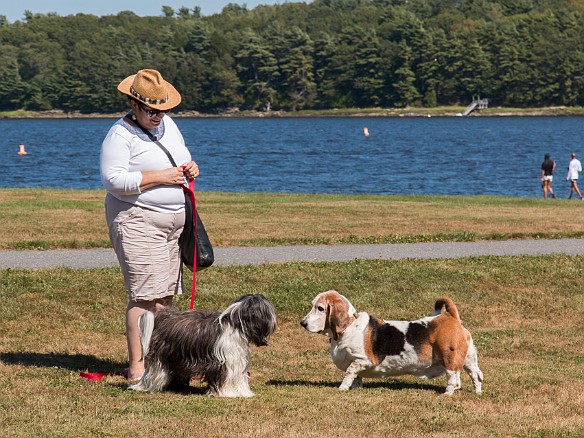 Sophie meets a friend Sep 6, 2015 2:11 PM : Maxine Klein, Sophie