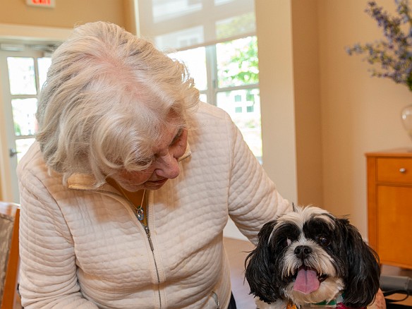 Myra 83rd Birthday-012 Myra with Harry, Lester and Elaine's therapy dog