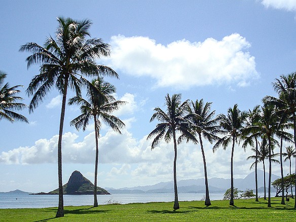 MyraReivanHawaii2010-016 View of Mokoli'i or Chinaman's Hat