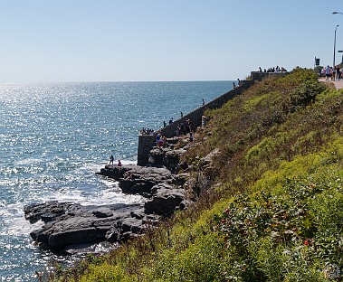 Newport2014-027 About 2/3 mile down the Cliff Walk are the 40 Steps, which are literally just that. It is a staircase that descends the cliff to a small platform that was...