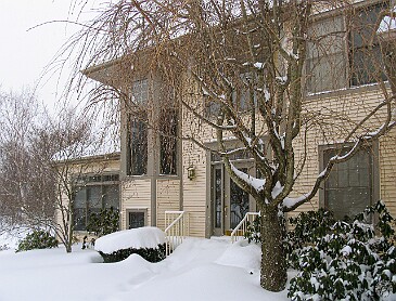 Winter2010-Jan12Snowstorm-001 Blizzard of Jan 2010: 2-1/2 feet of snow and still coming down!