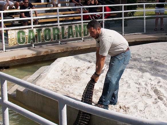 Nov 18, 2009 12:34 PM : Florida, Gatorland, Orlando 2009