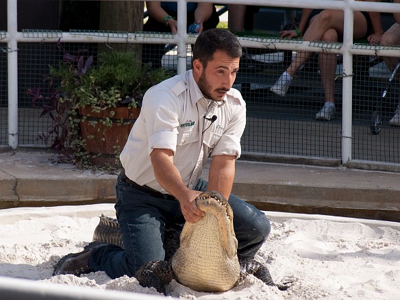 Nov 18, 2009 12:35 PM : Florida, Gatorland, Orlando 2009