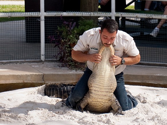 Nov 18, 2009 12:40 PM : Florida, Gatorland, Orlando 2009