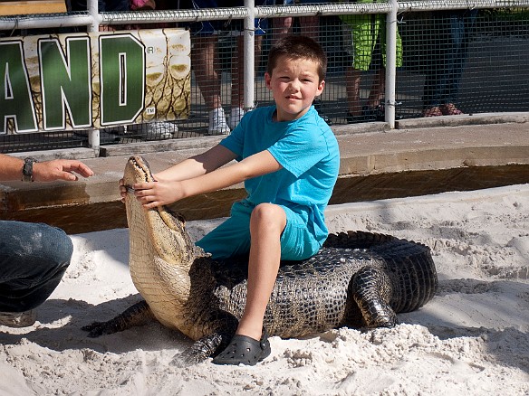 Nov 18, 2009 12:49 PM : Florida, Gatorland, Orlando 2009