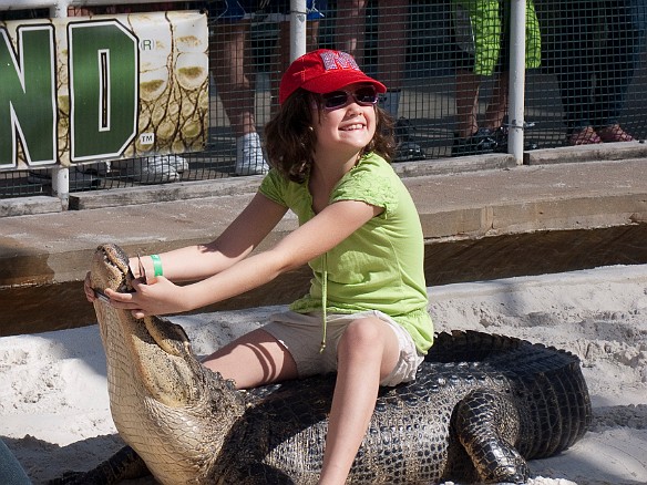 Nov 18, 2009 12:50 PM : Florida, Gatorland, Orlando 2009