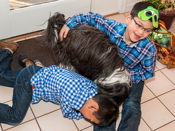 Passover2015-019 Noah and Evan Beson were having the time of their lives playing with Sophie