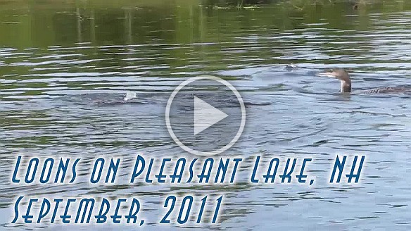 PleasantLakeKayaking.mp4